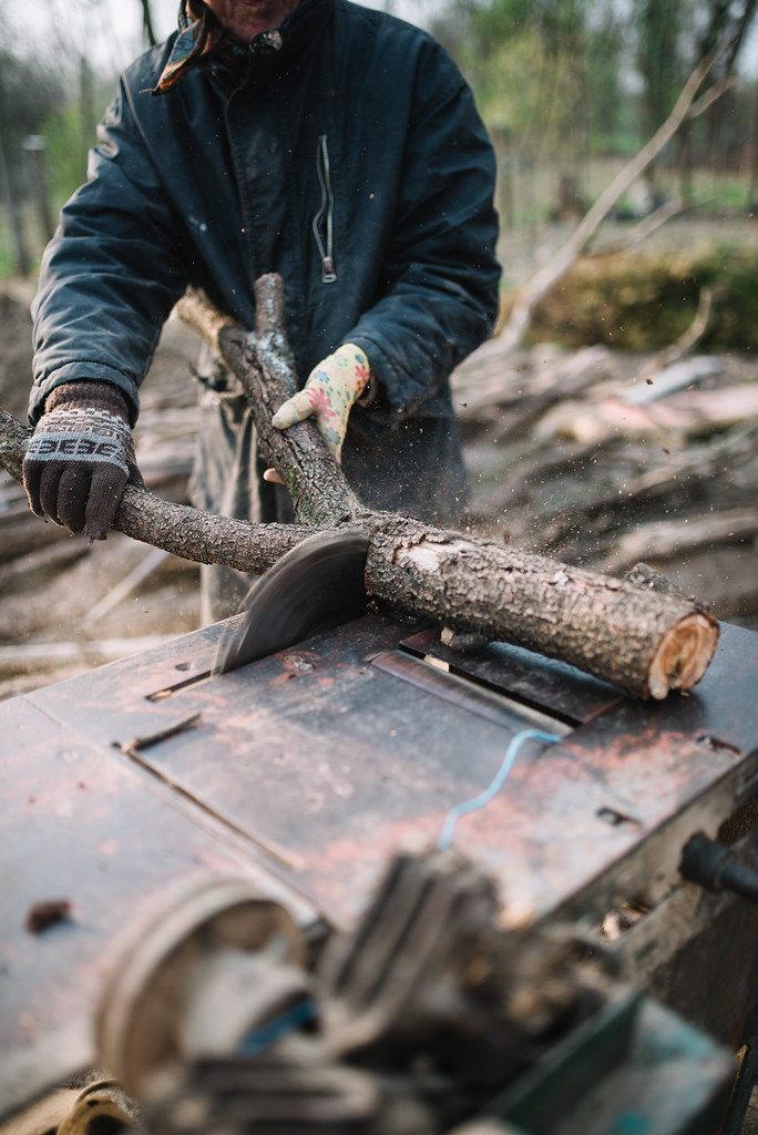 Openverse photograph: Sawing own firewood for the comming winter. Self-sufficient lifestyle